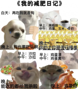 成都锦江妇幼介入科：久备不孕？可能是这个“拦路虎”堵上了门！